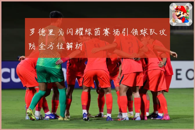 罗德里戈闪耀绿茵赛场引领球队攻防全方位解析