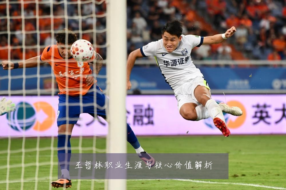 王哲林职业生涯与核心价值解析